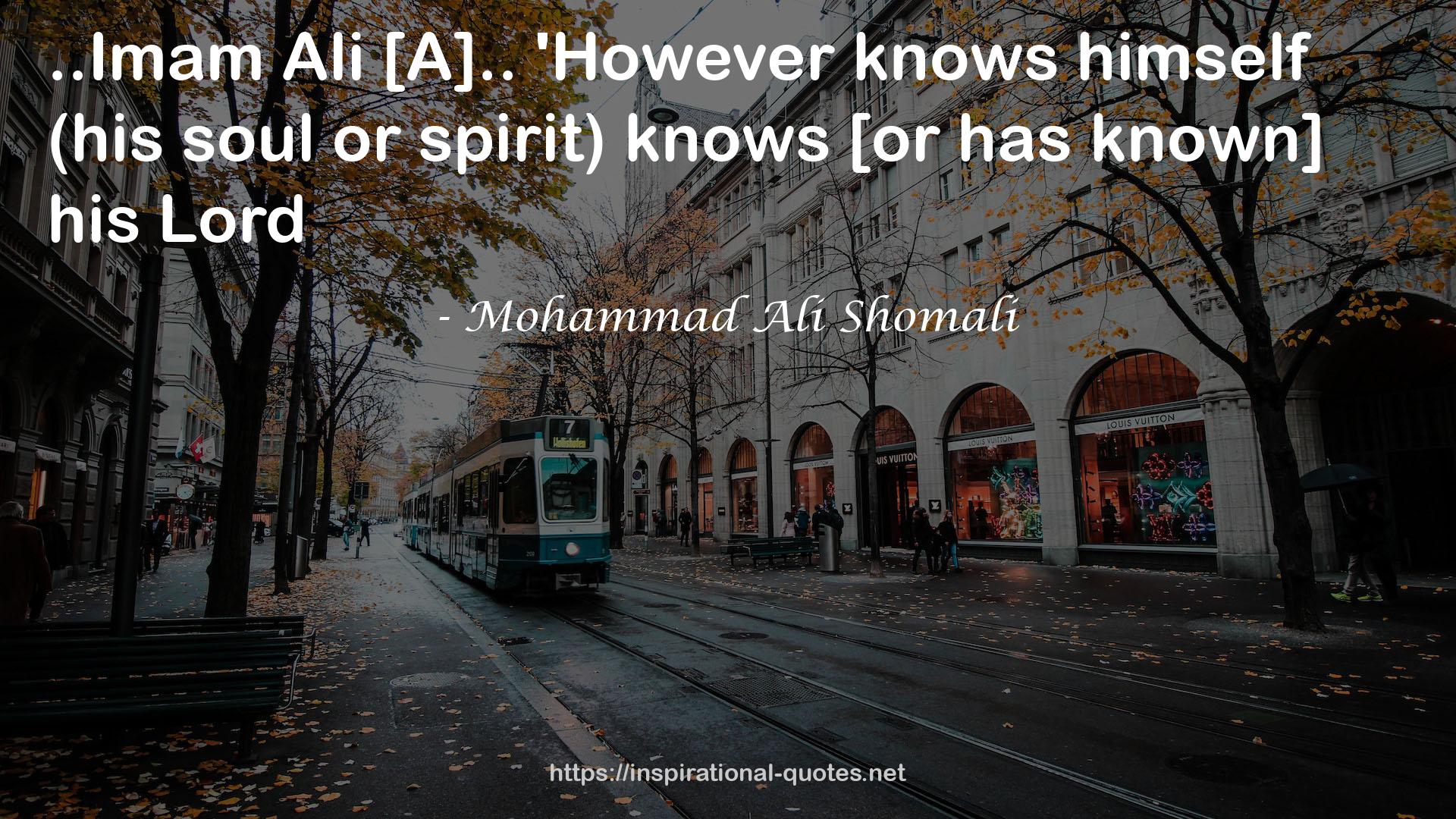 Mohammad Ali Shomali QUOTES