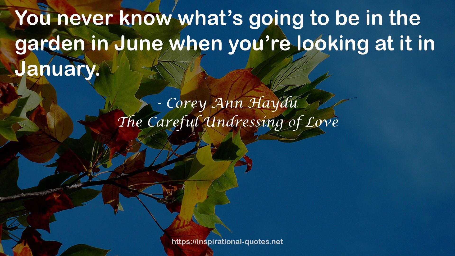 The Careful Undressing of Love QUOTES