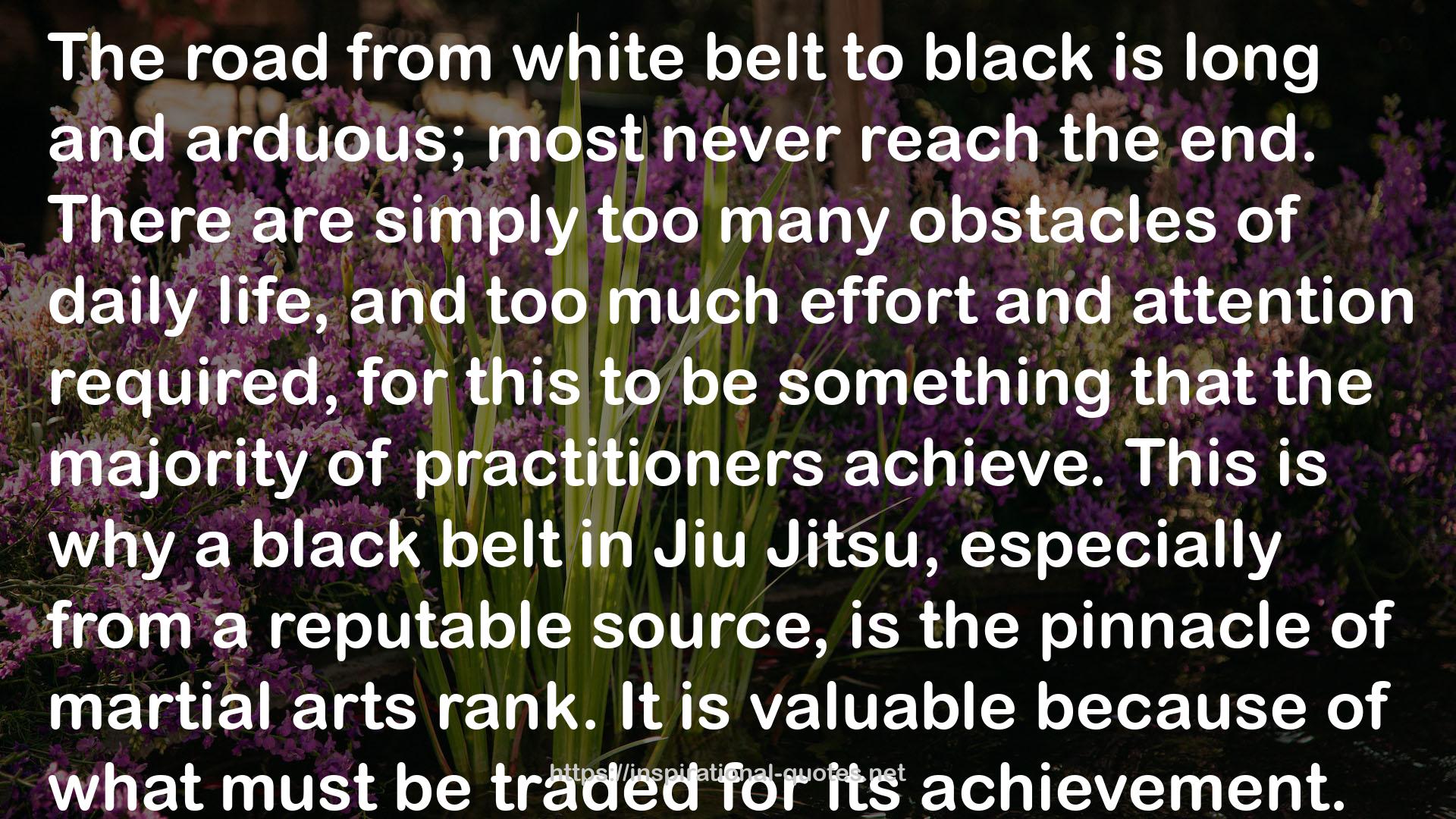 a black belt  QUOTES