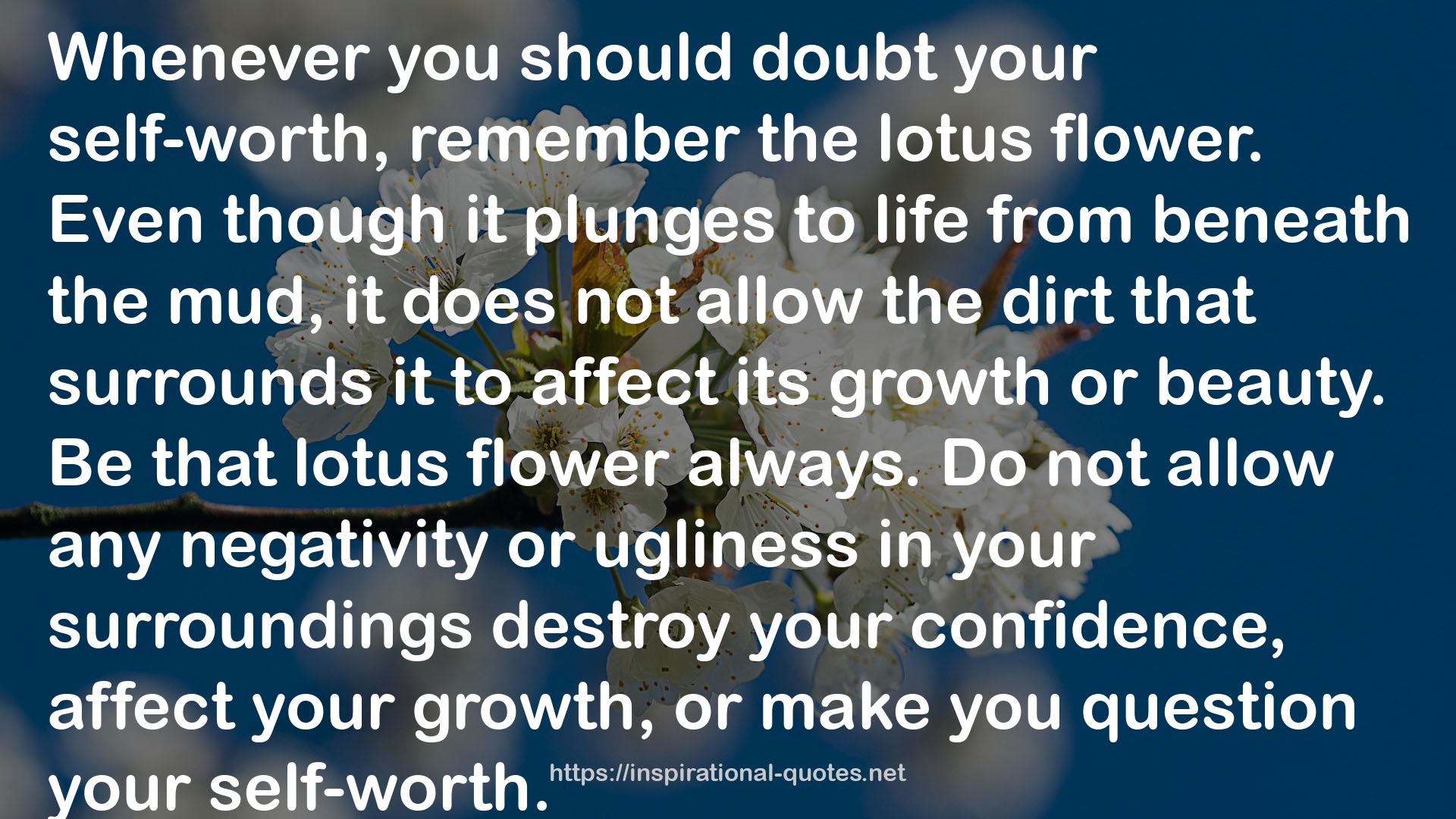 the dirt  QUOTES