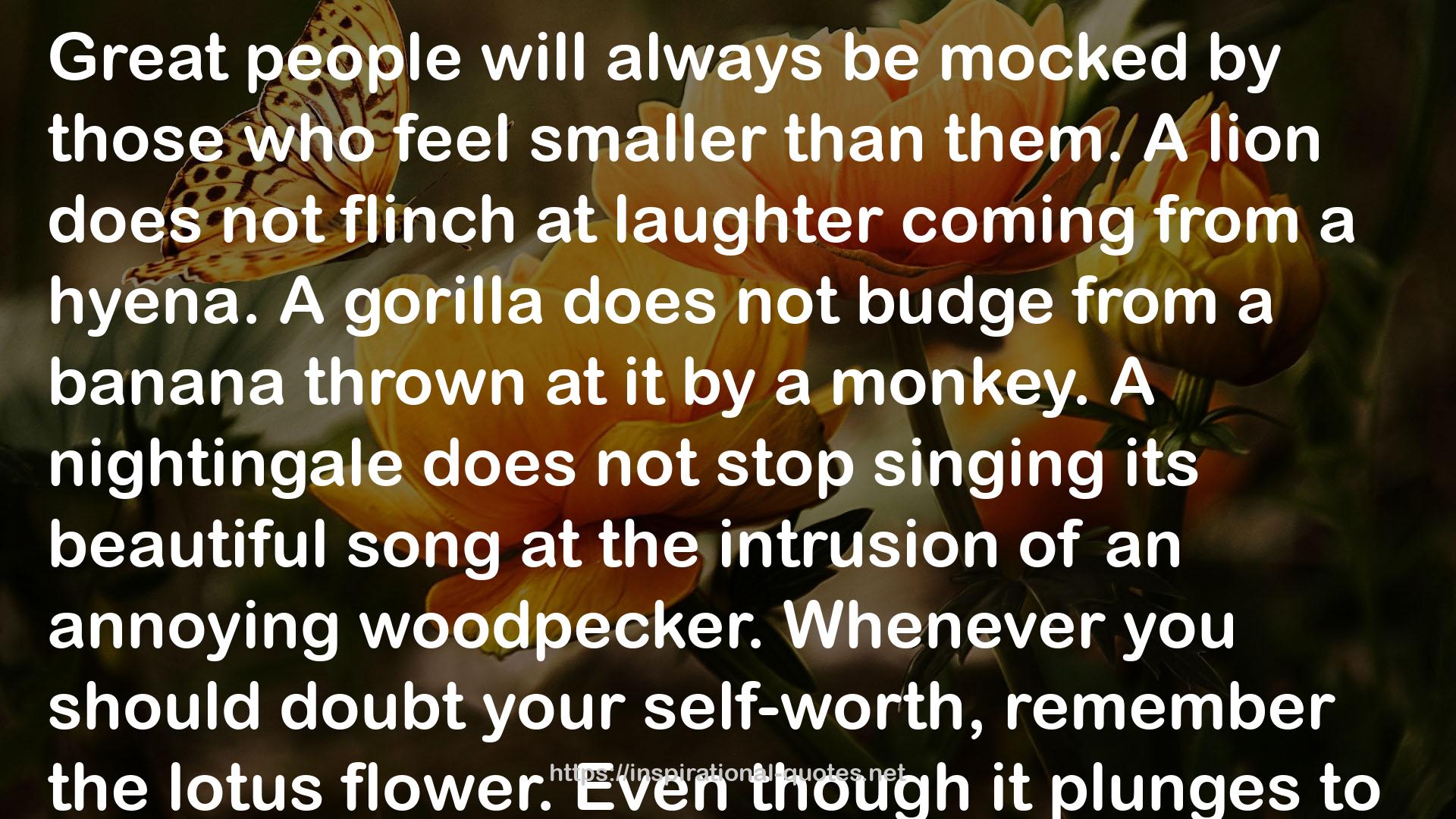 a gorilla  QUOTES