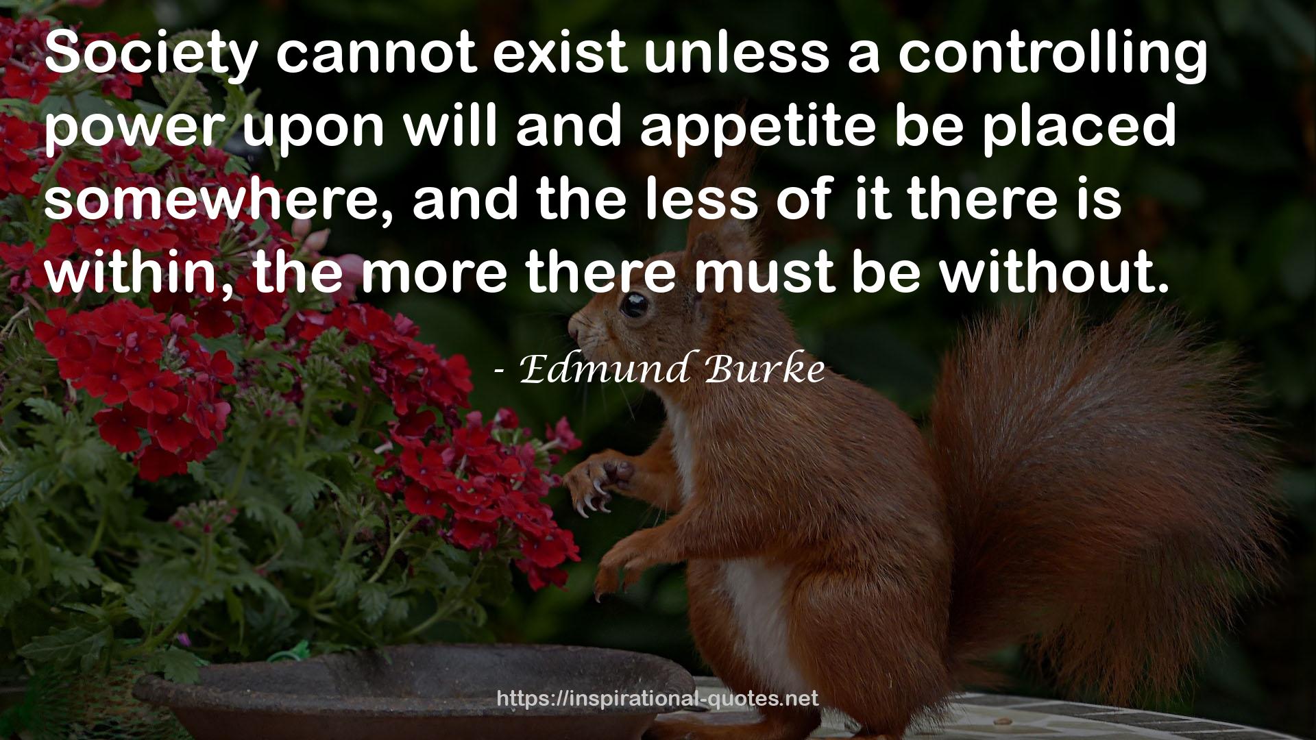 Edmund Burke QUOTES