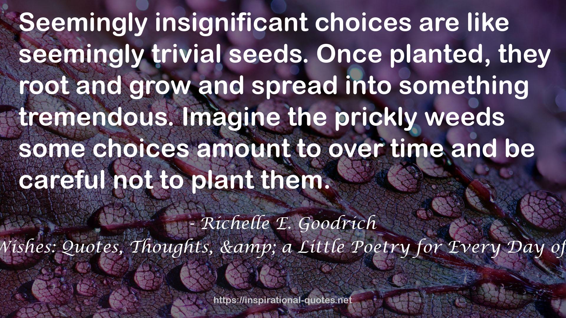 insignificant choices  QUOTES