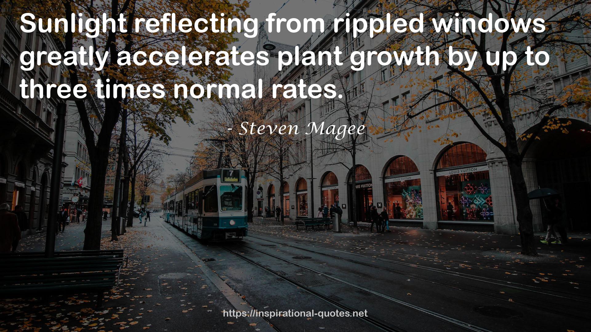 rippled windows  QUOTES