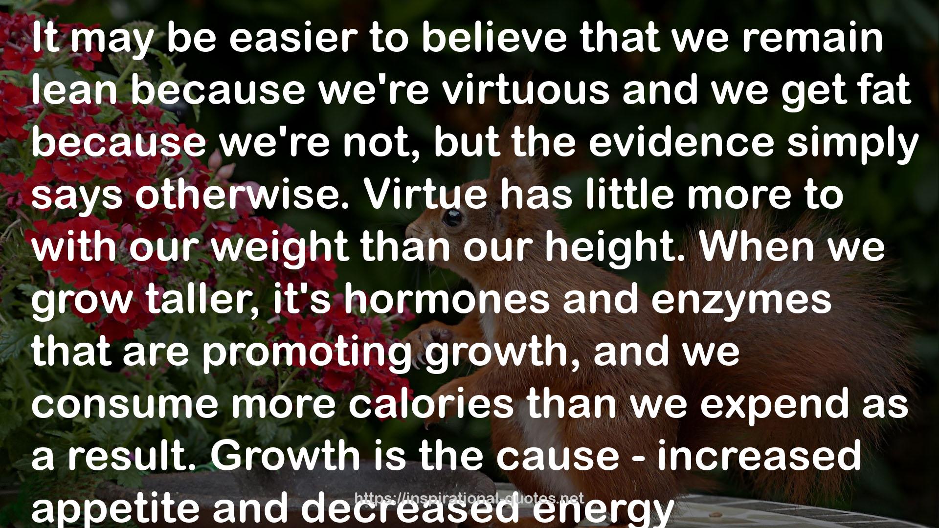 more calories  QUOTES