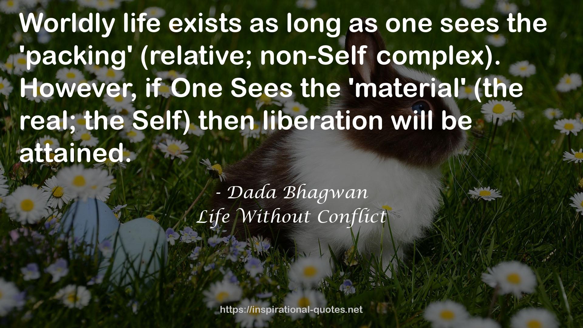 Life Without Conflict QUOTES