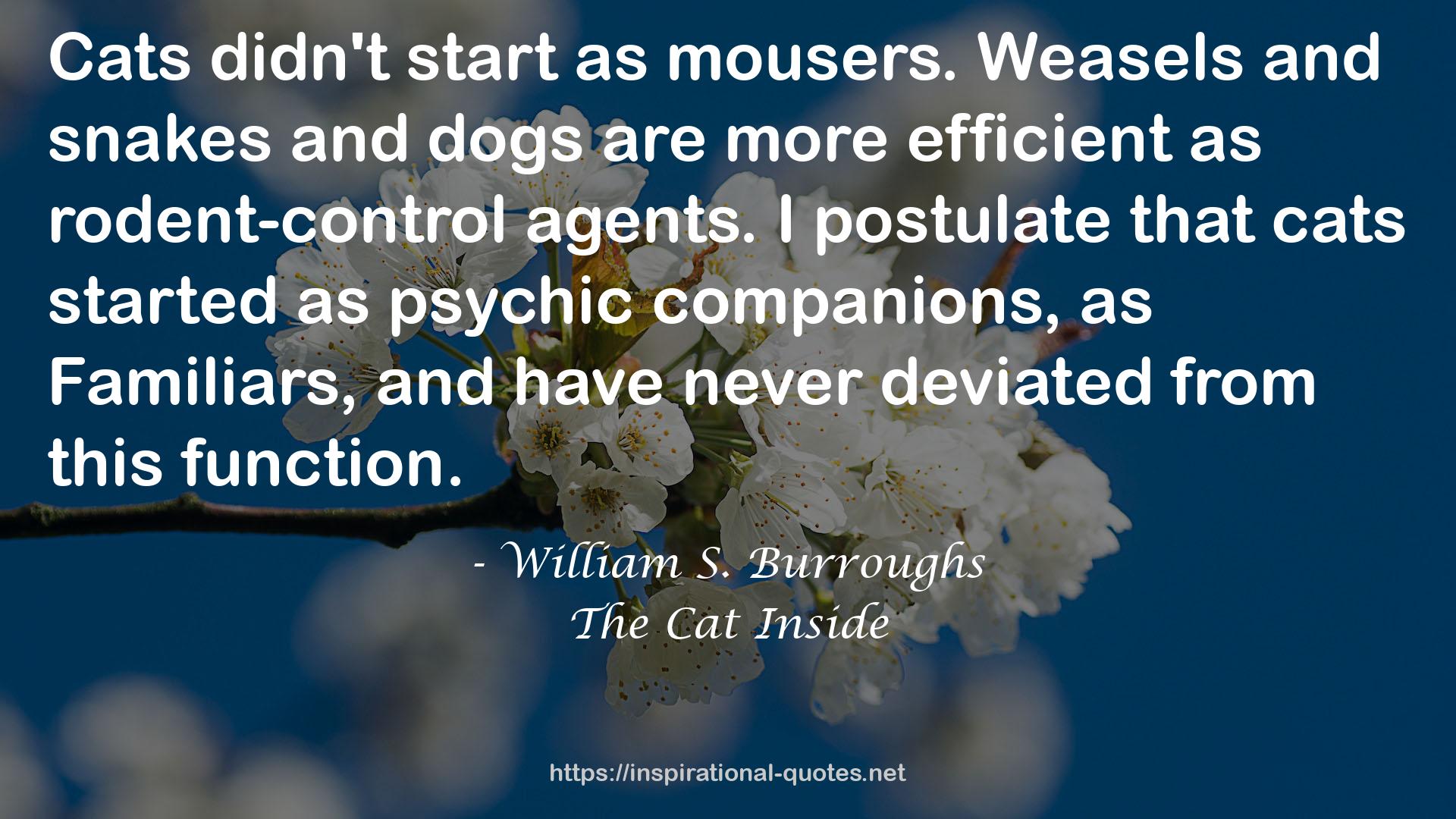 The Cat Inside QUOTES