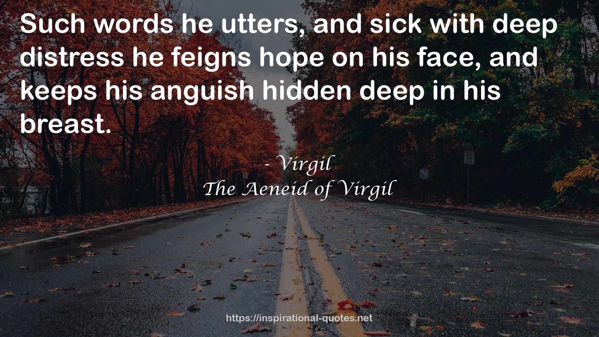 The Aeneid of Virgil QUOTES