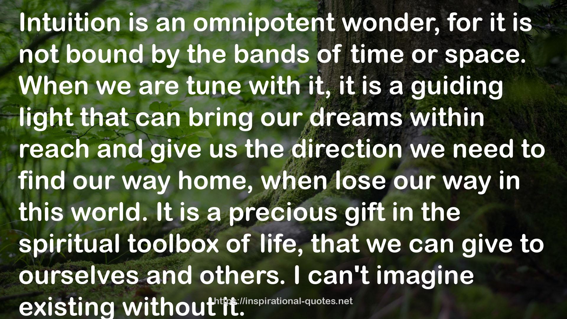 the bands  QUOTES