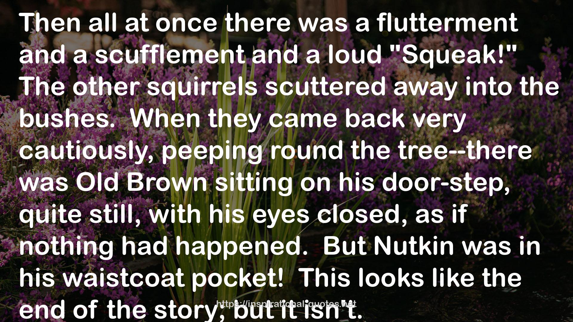 The Tale of Squirrel Nutkin QUOTES