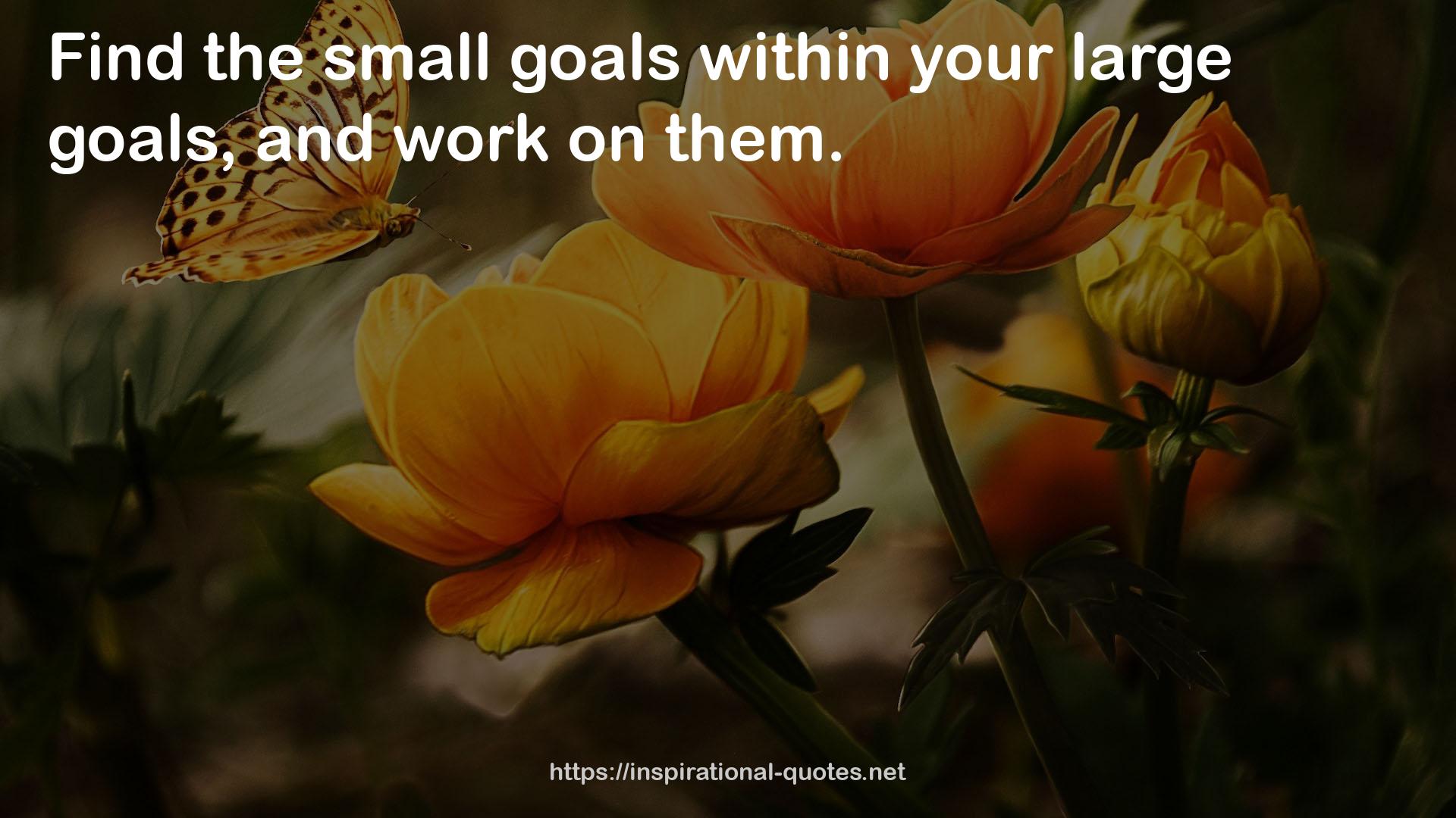 the small goals  QUOTES