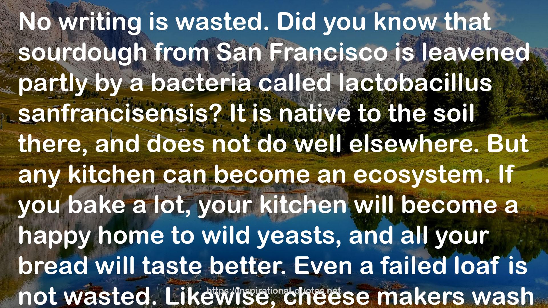 San Francisco  QUOTES