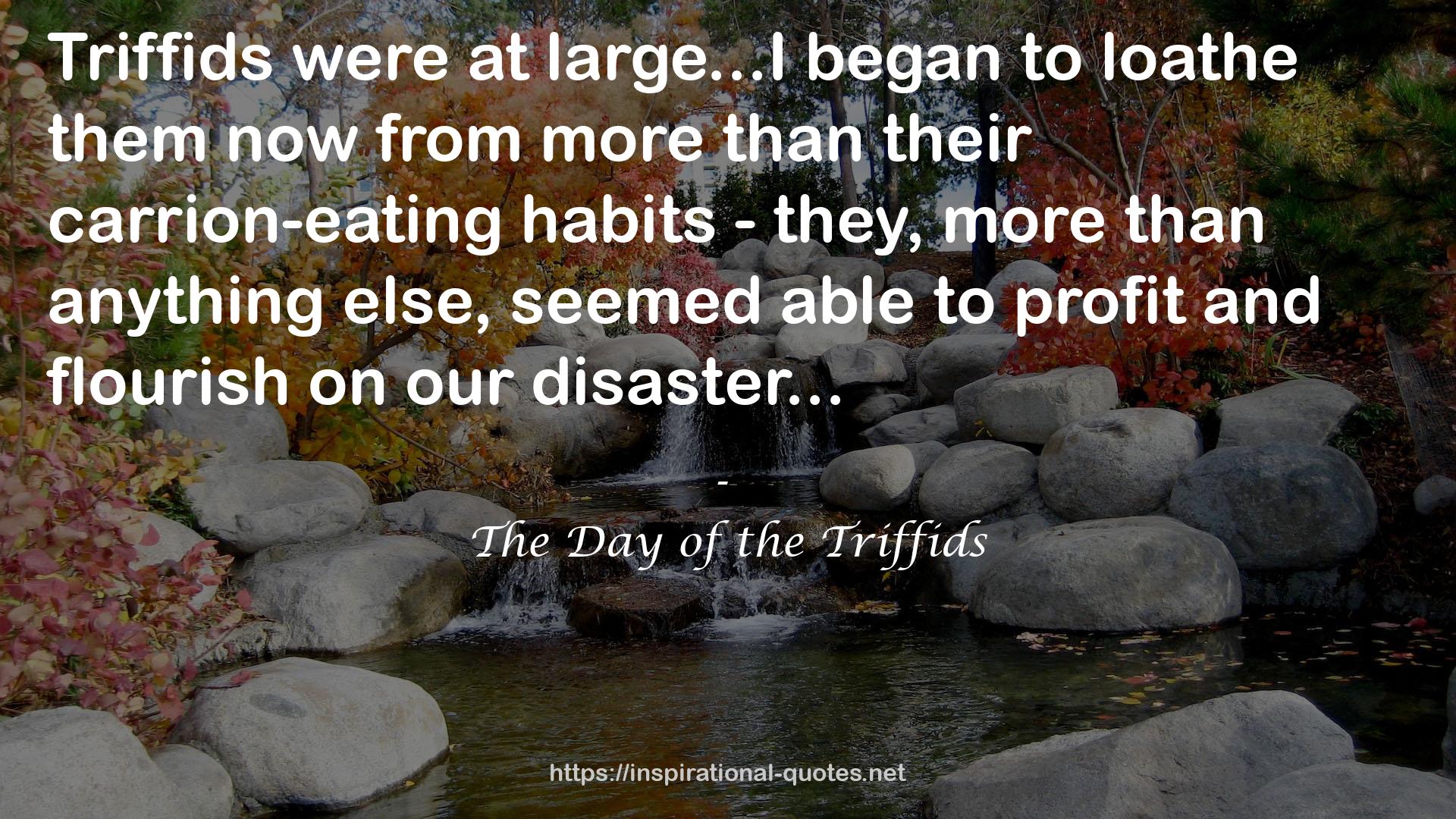 The Day of the Triffids QUOTES