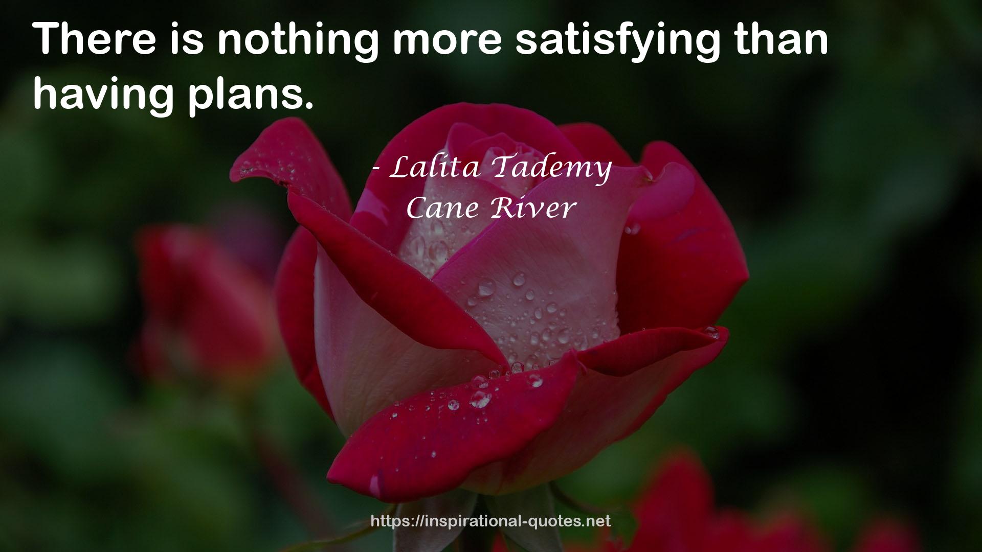 Lalita Tademy QUOTES