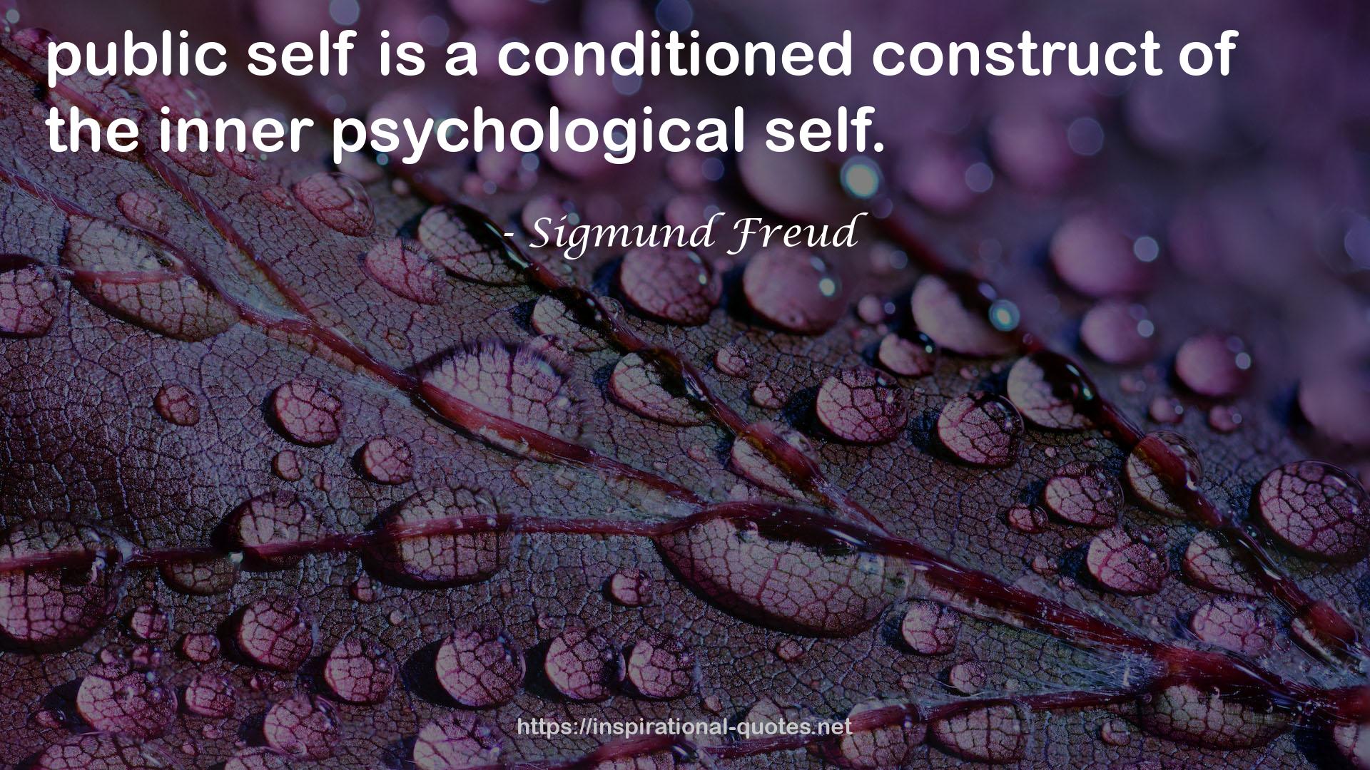 a conditioned construct  QUOTES
