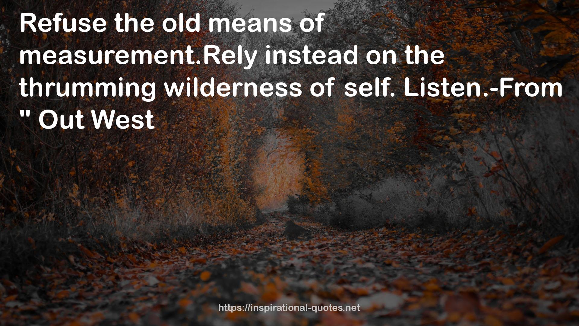 the thrumming wilderness  QUOTES