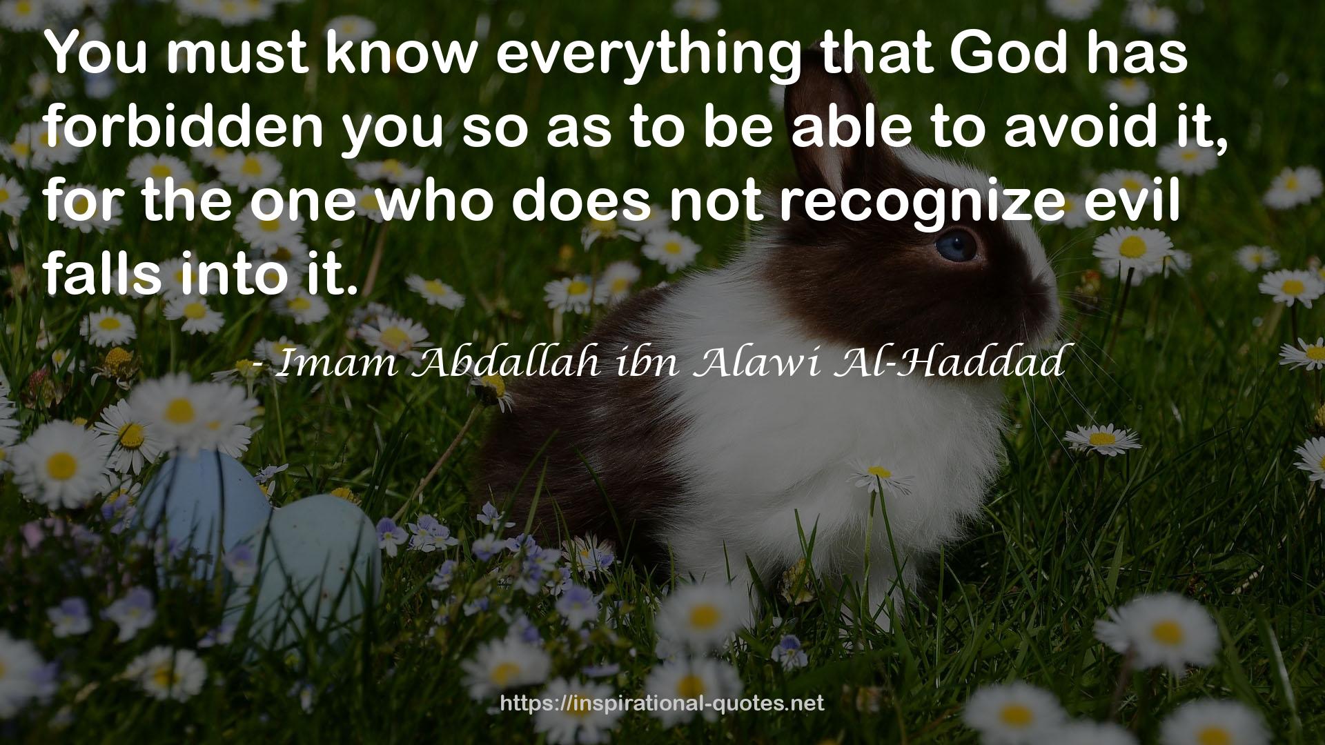 Imam Abdallah ibn Alawi Al-Haddad QUOTES