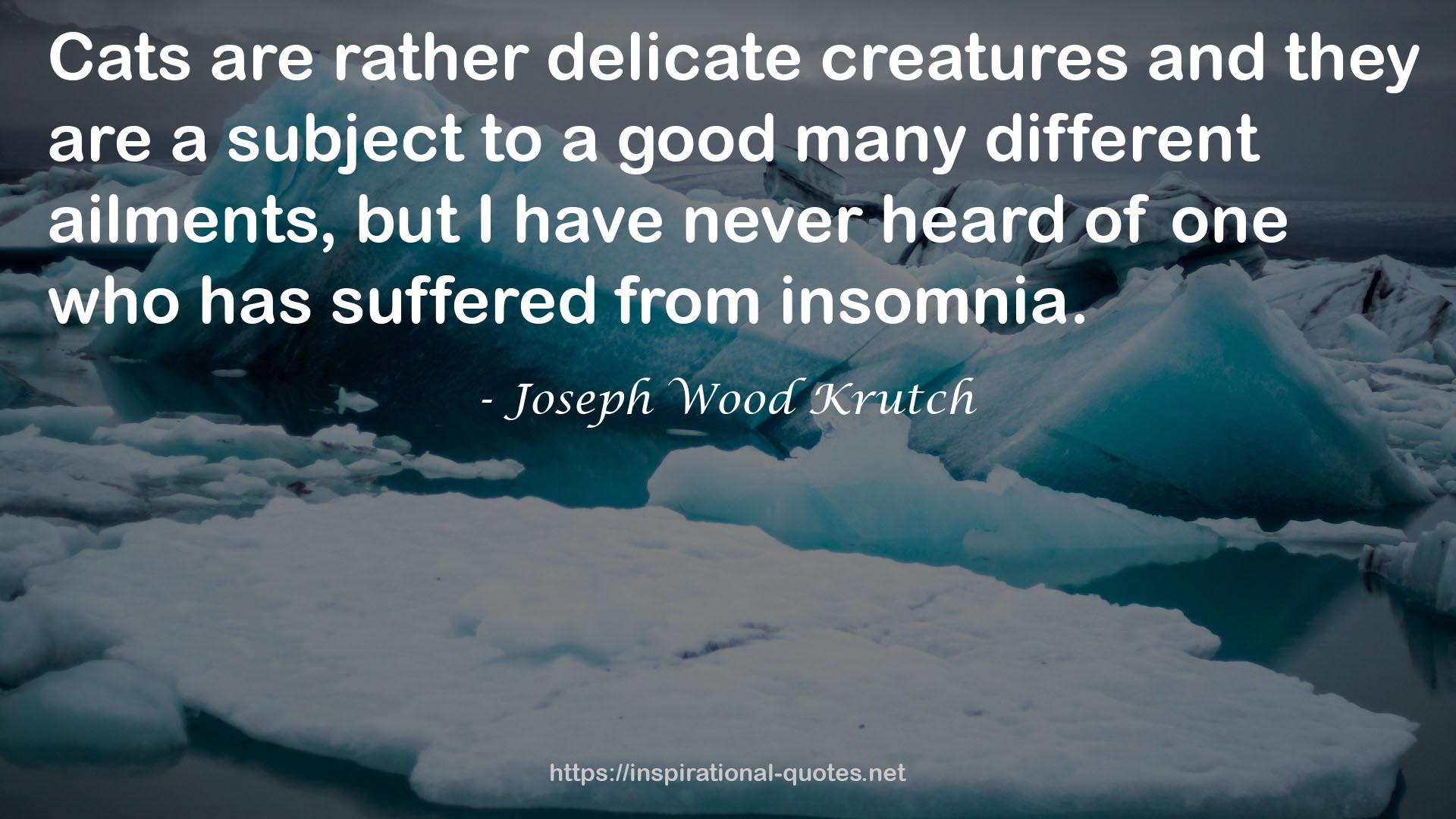 Joseph Wood Krutch QUOTES