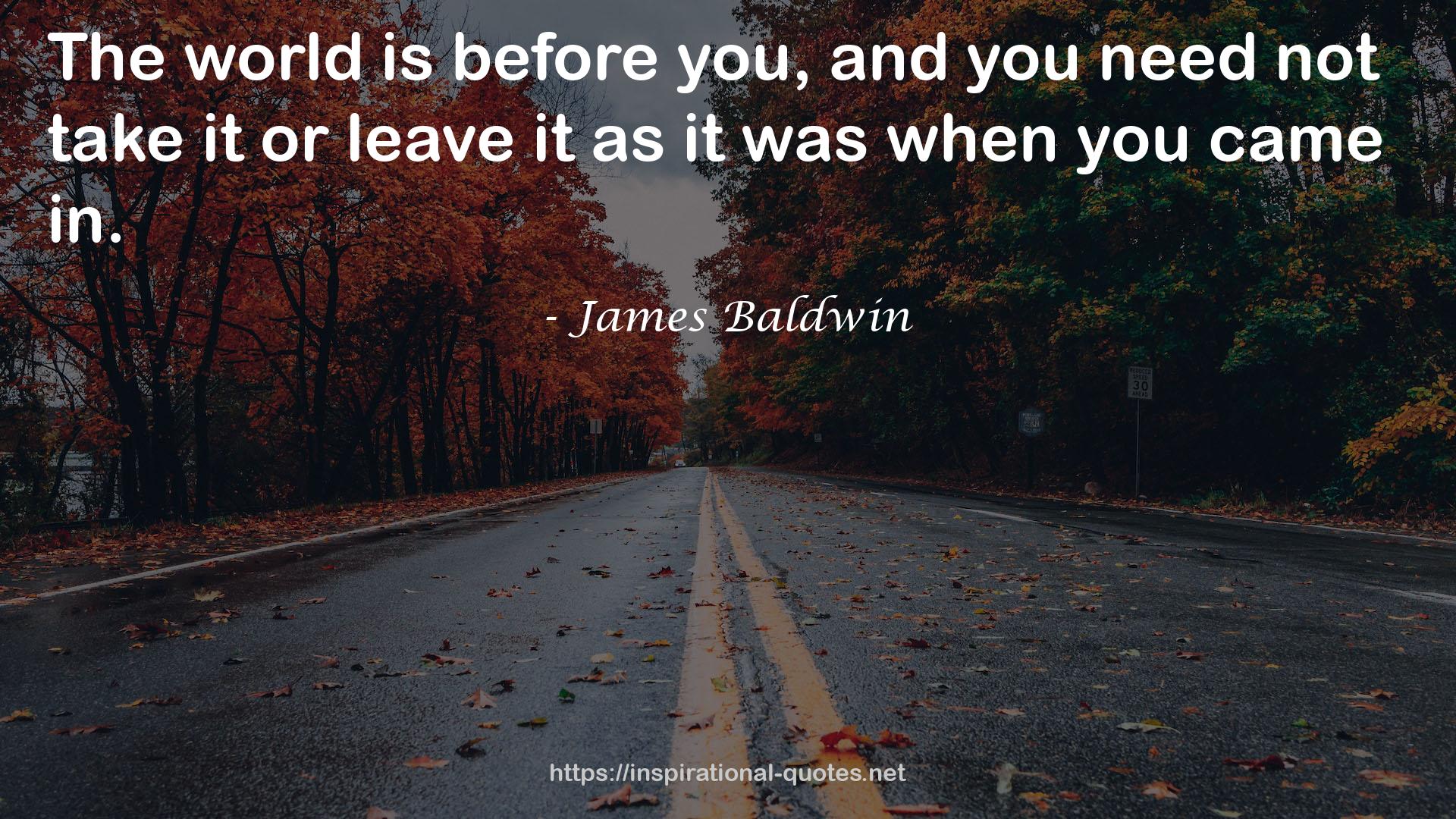 James Baldwin QUOTES