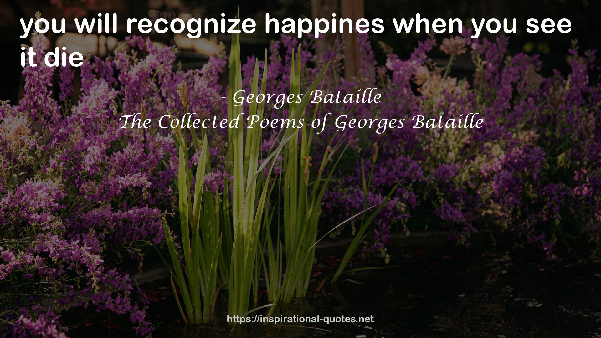 The Collected Poems of Georges Bataille QUOTES