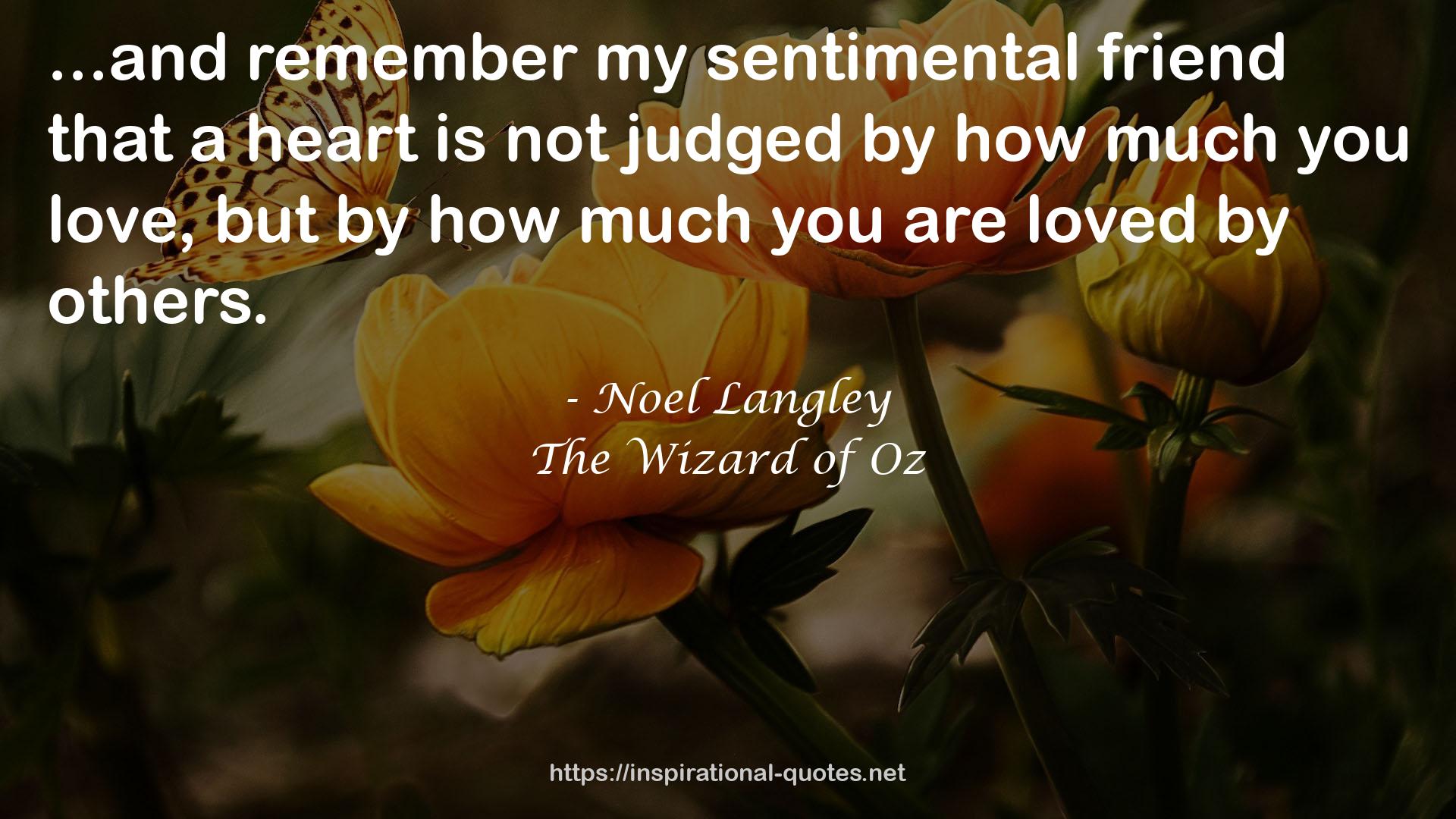 my sentimental friend  QUOTES