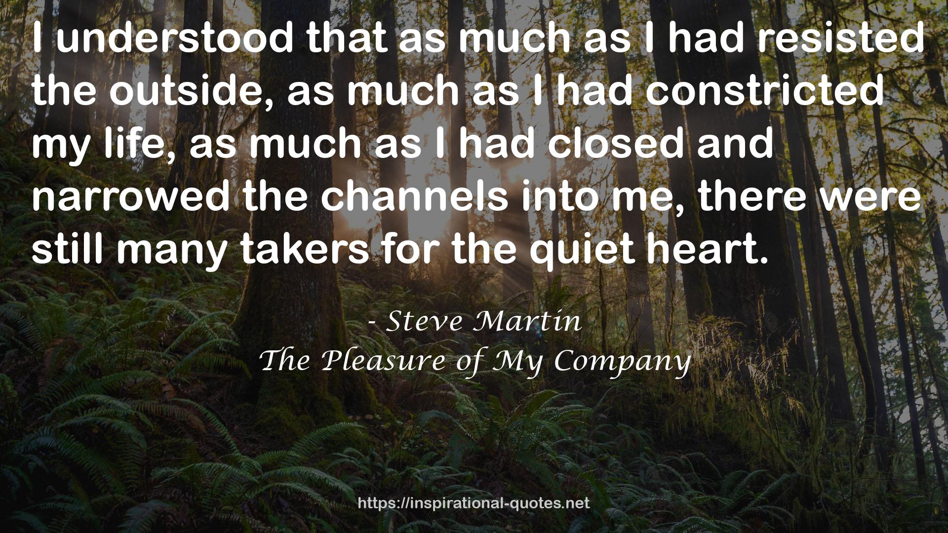 Steve Martin QUOTES