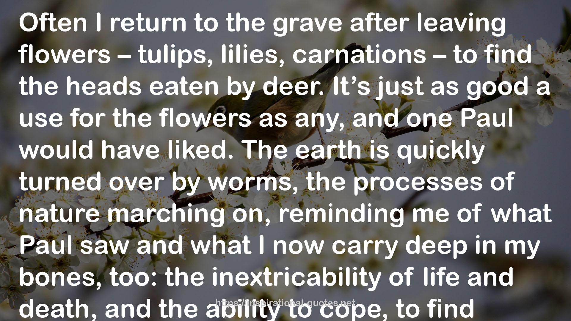 the flowers  QUOTES