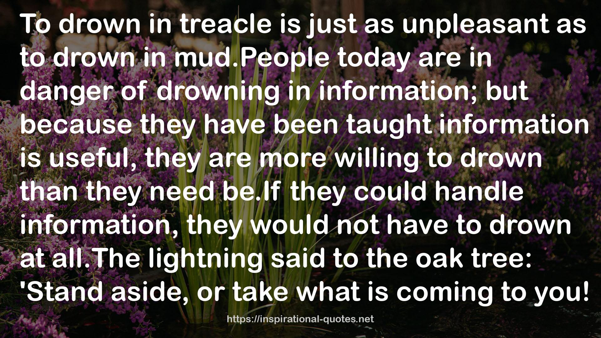 treacle  QUOTES