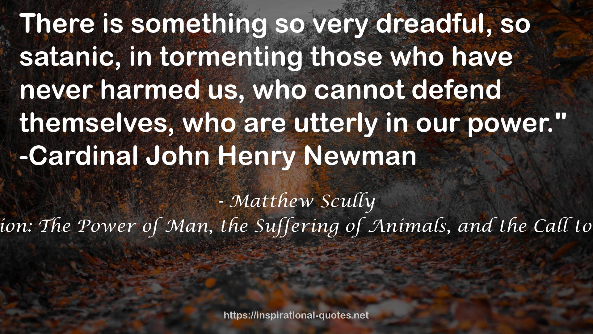 Matthew Scully QUOTES