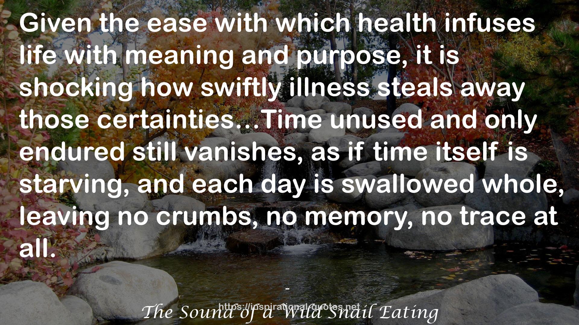 The Sound of a Wild Snail Eating QUOTES