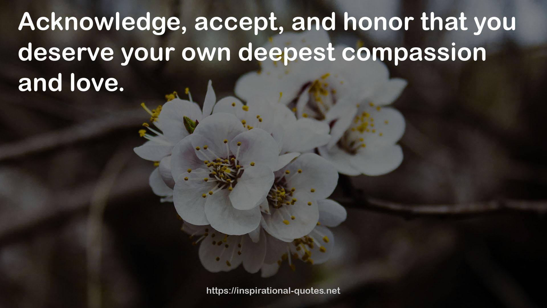 your own deepest compassion  QUOTES