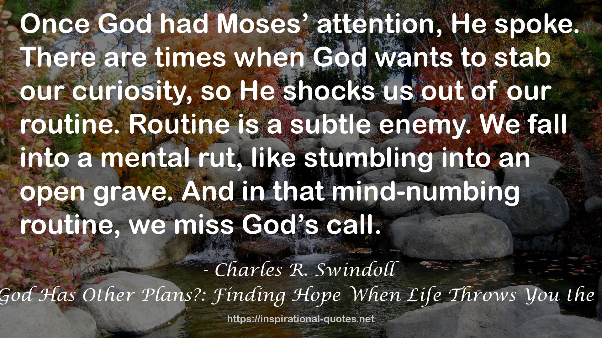 What If . . . God Has Other Plans?: Finding Hope When Life Throws You the Unexpected QUOTES