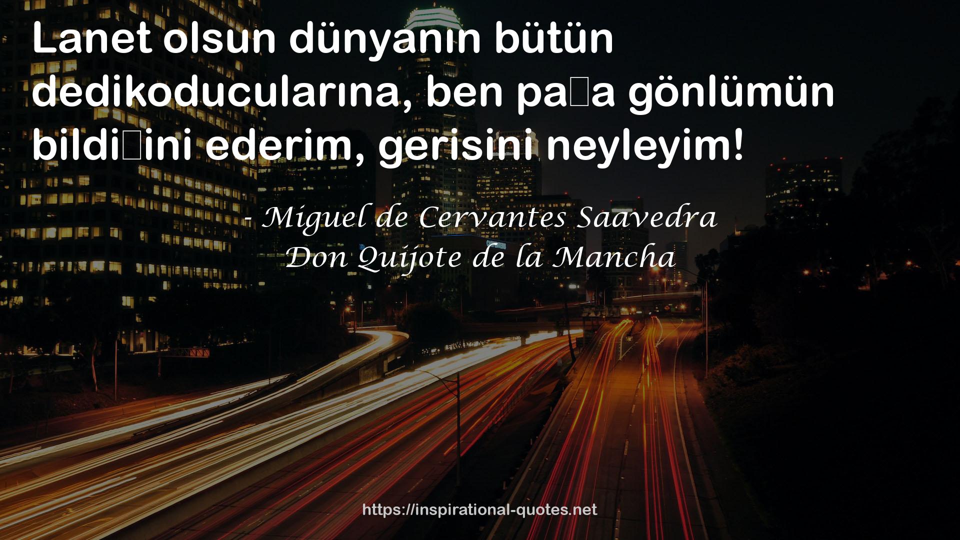 Don Quijote de la Mancha QUOTES