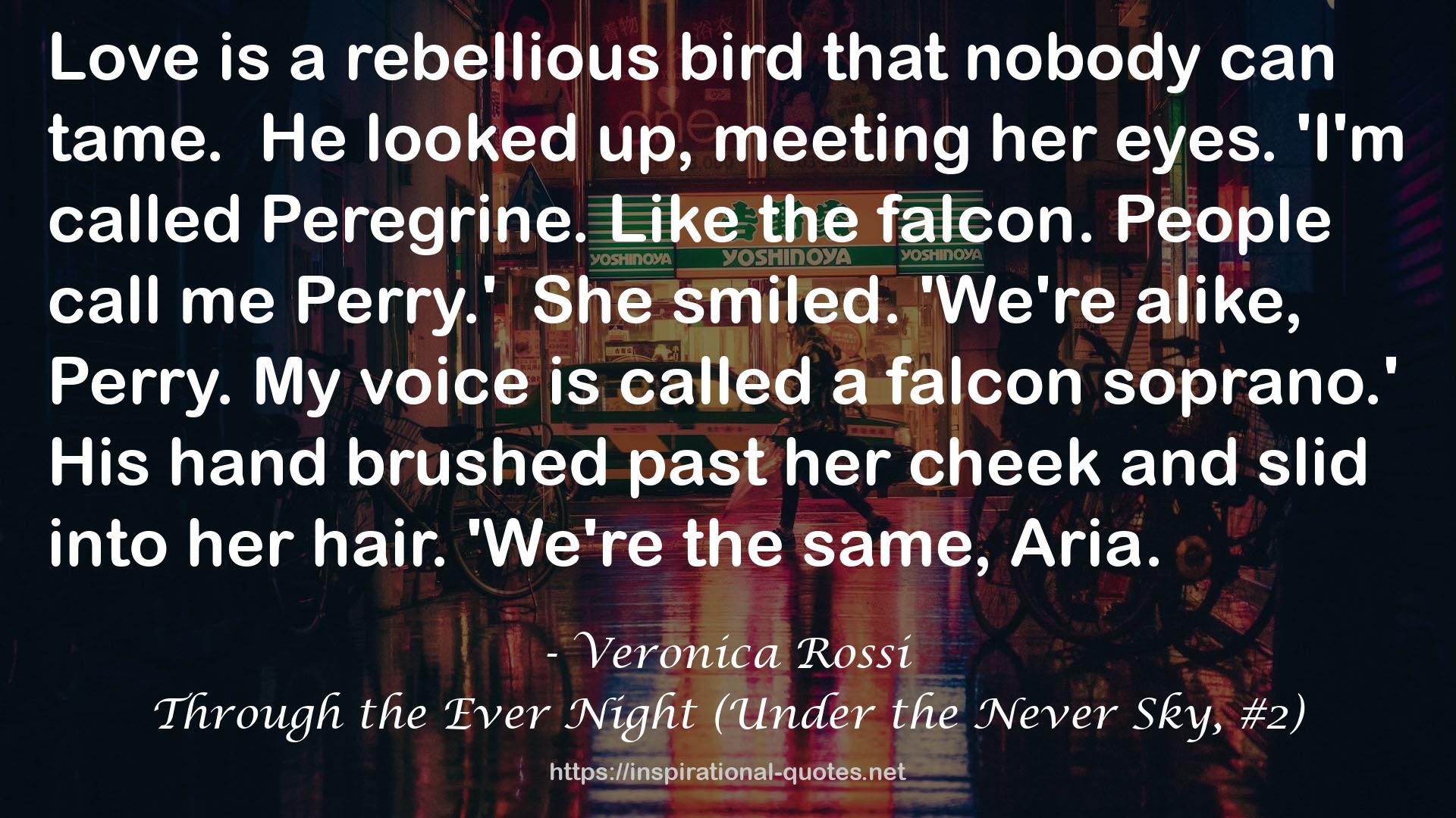Through the Ever Night (Under the Never Sky, #2) QUOTES