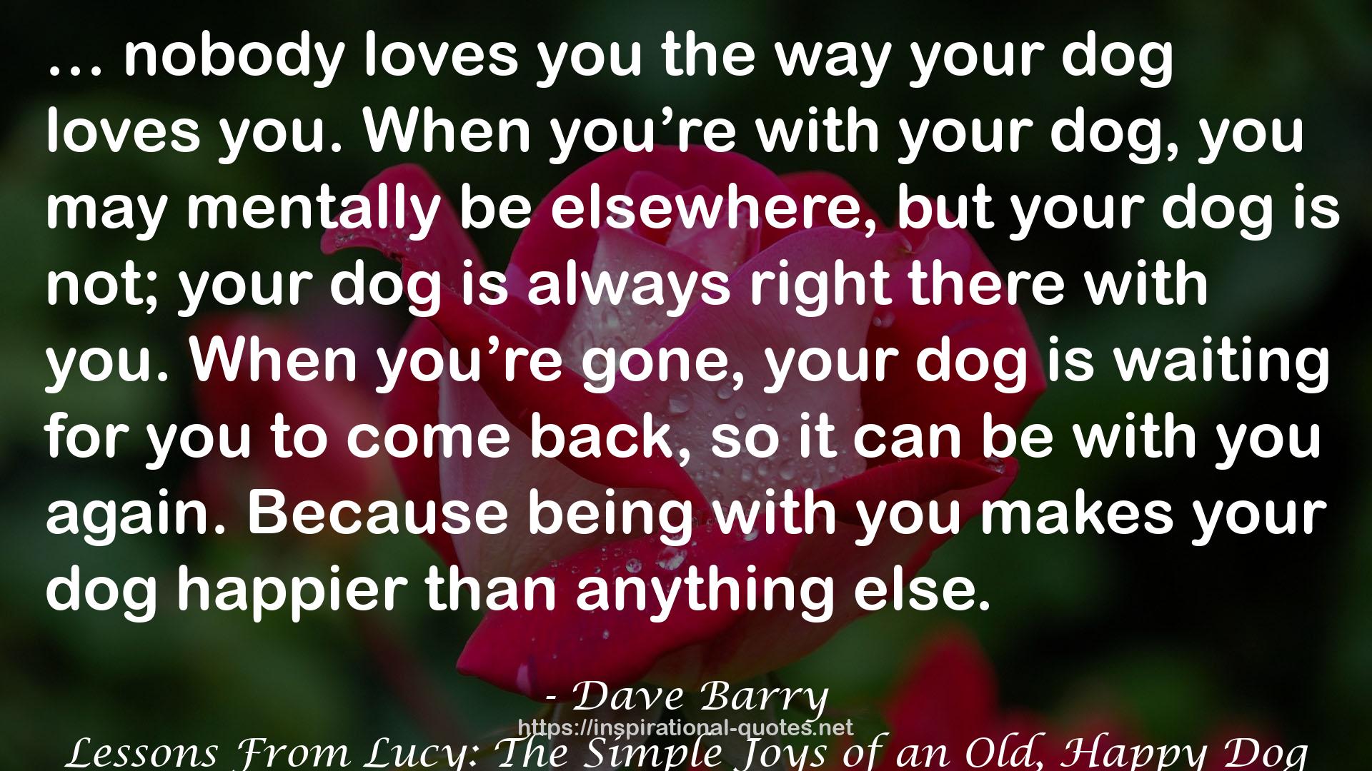 Lessons From Lucy: The Simple Joys of an Old, Happy Dog QUOTES