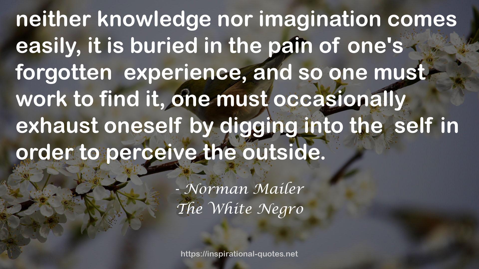 The White Negro QUOTES