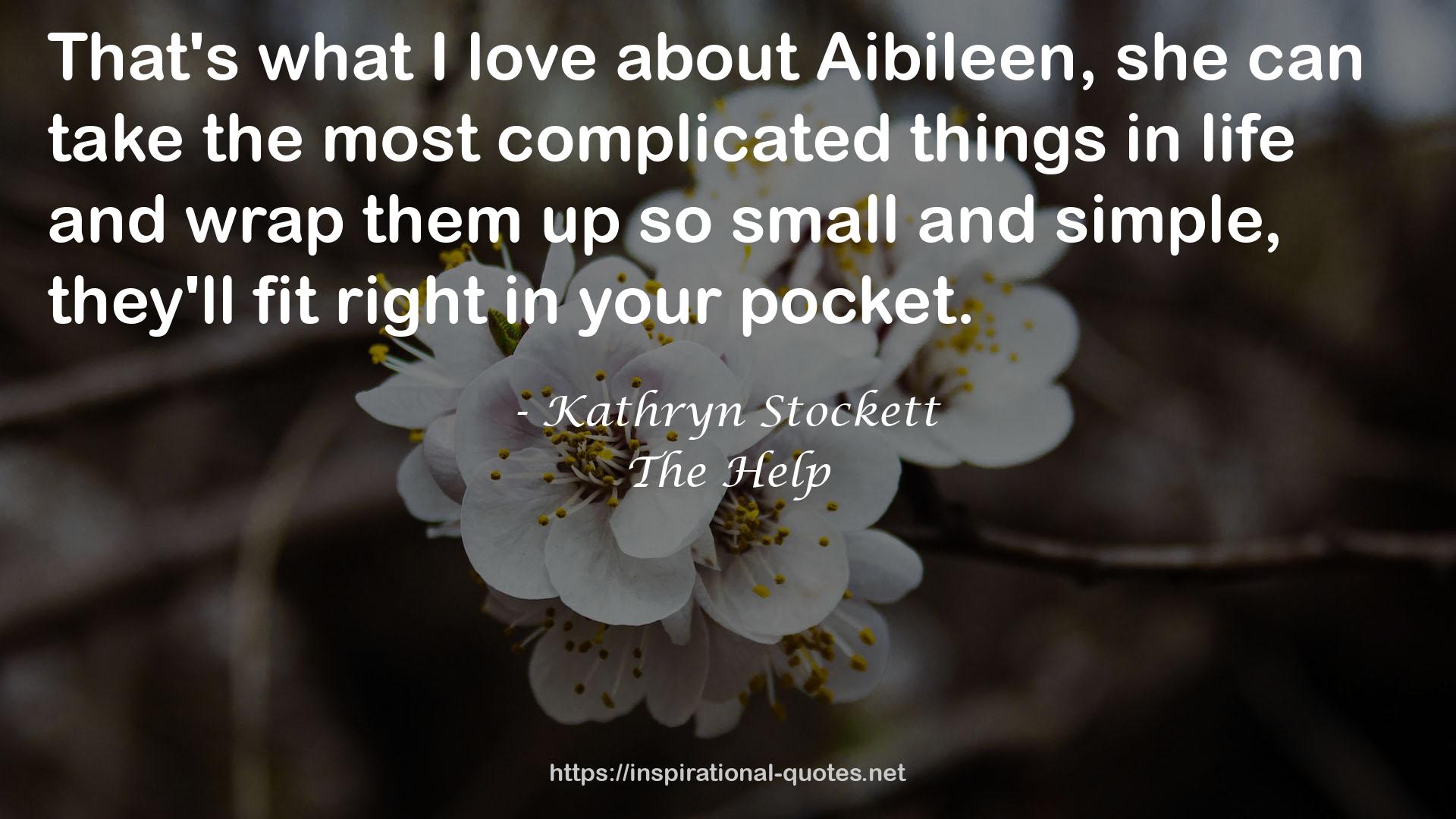 Kathryn Stockett QUOTES