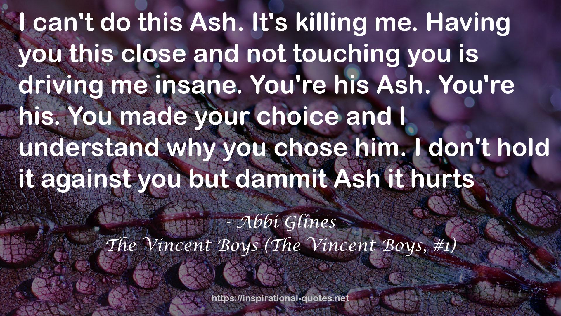 The Vincent Boys (The Vincent Boys, #1) QUOTES