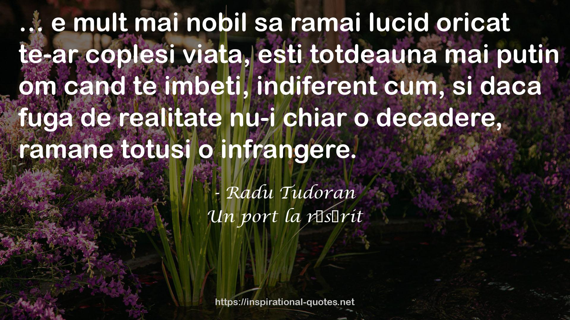 Radu Tudoran QUOTES