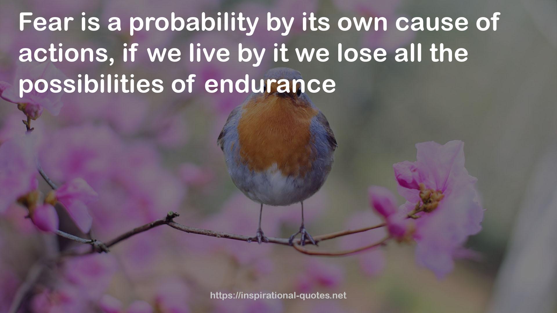 a probability  QUOTES