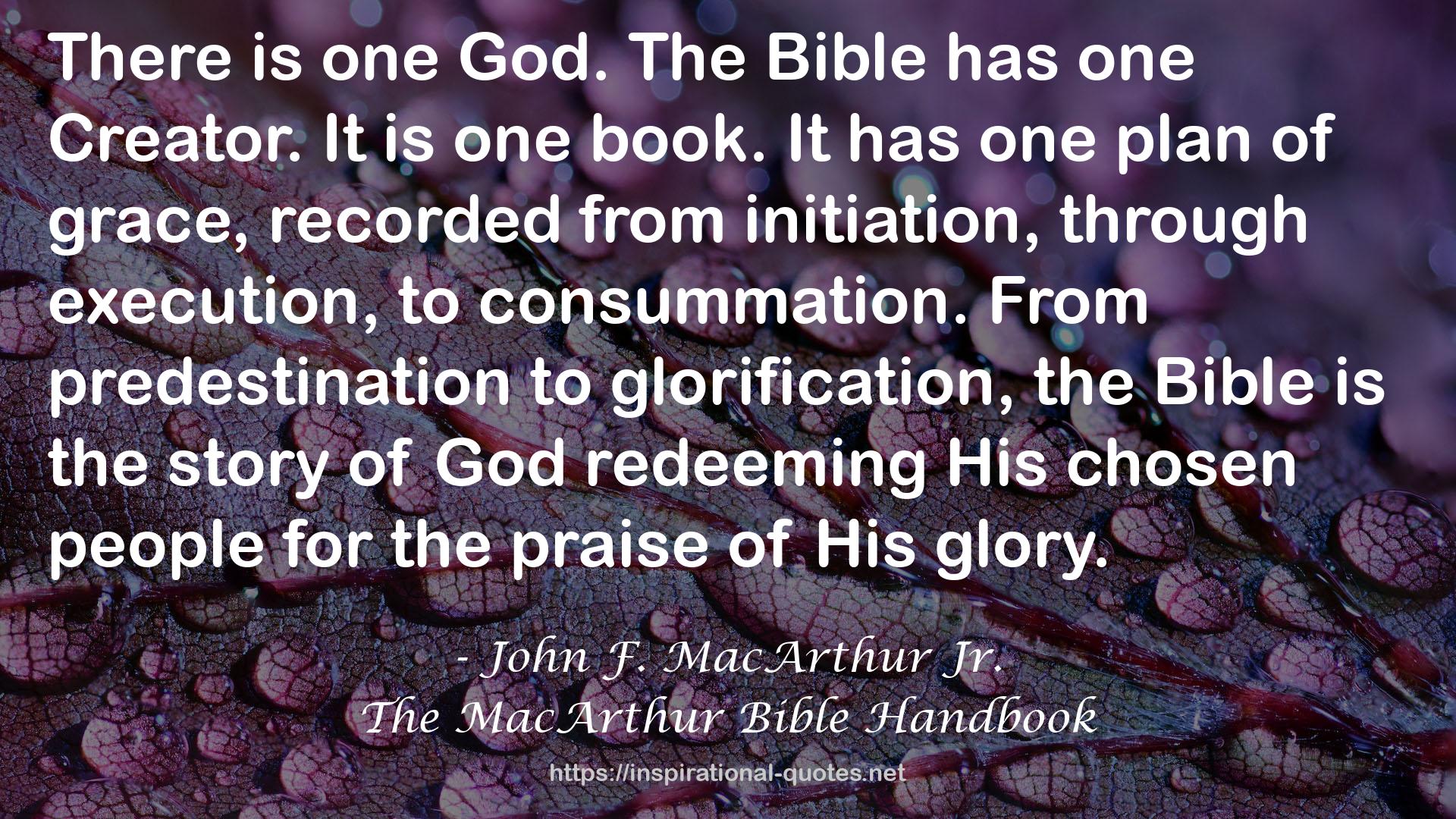 The MacArthur Bible Handbook QUOTES