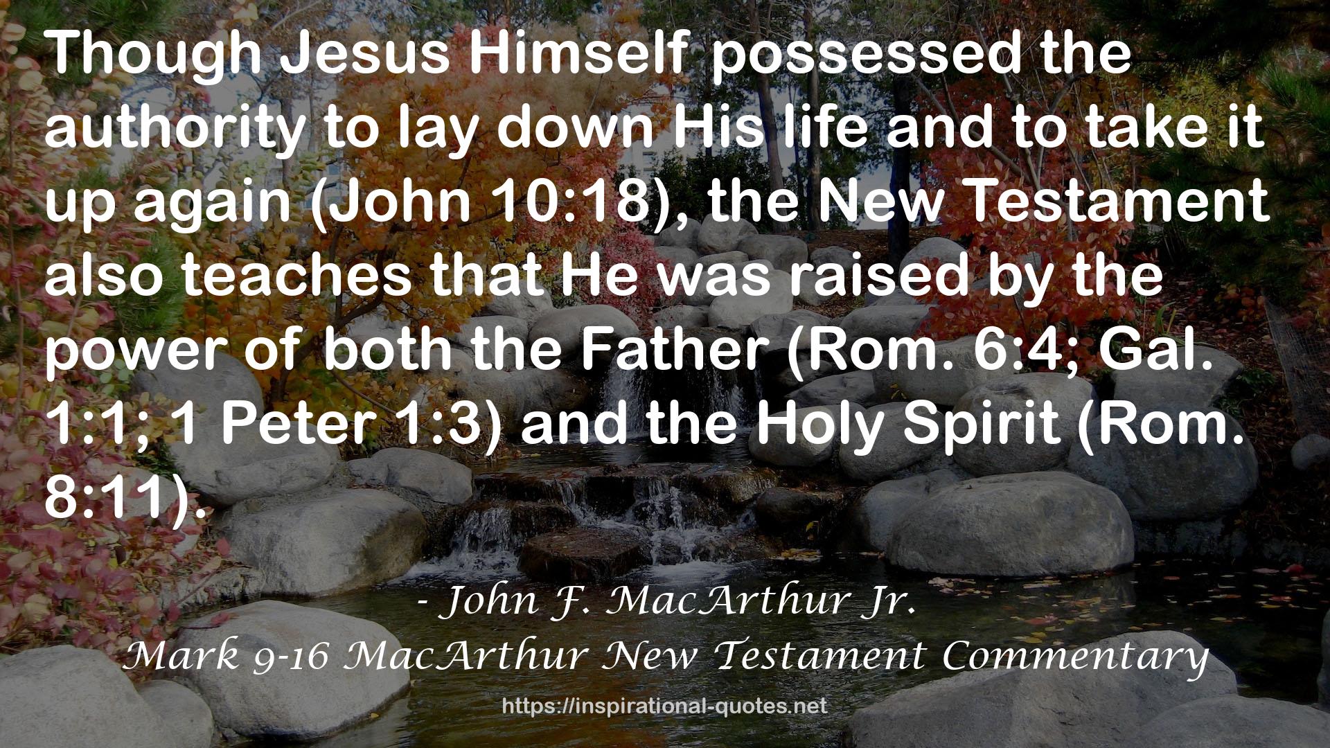 Mark 9-16 MacArthur New Testament Commentary QUOTES