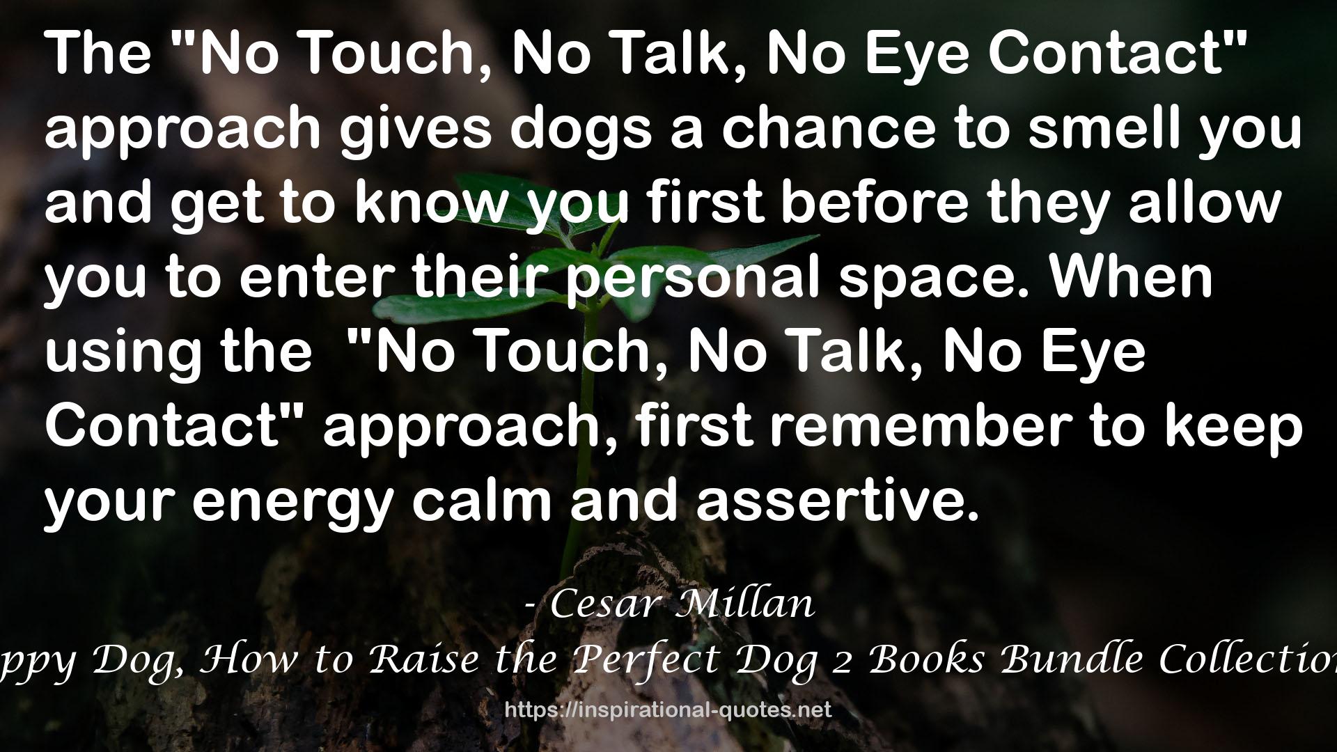 Cesar Millan's Short Guide to a Happy Dog, How to Raise the Perfect Dog 2 Books Bundle Collection- 98 Essential Tips and Techniques QUOTES