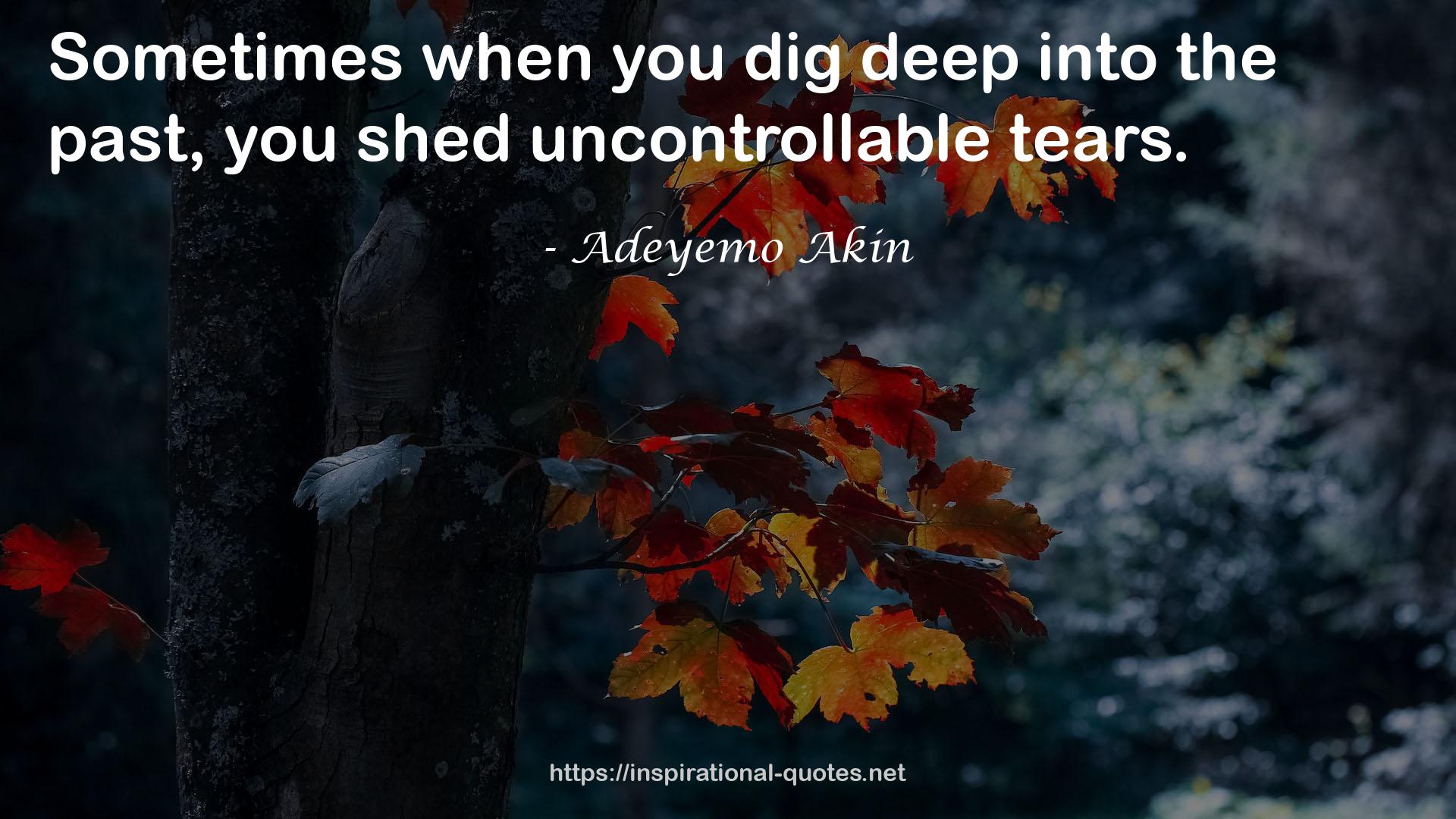 Adeyemo Akin QUOTES