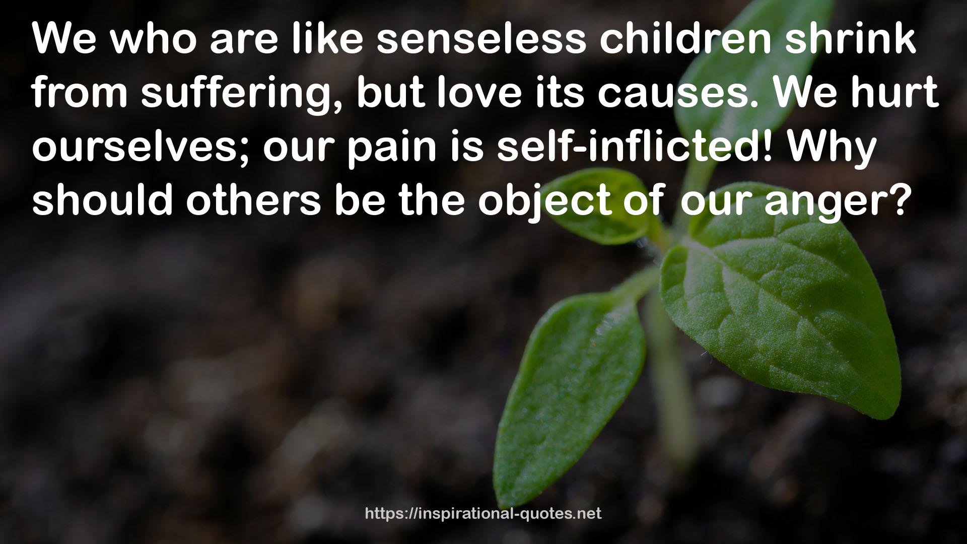 senseless children  QUOTES