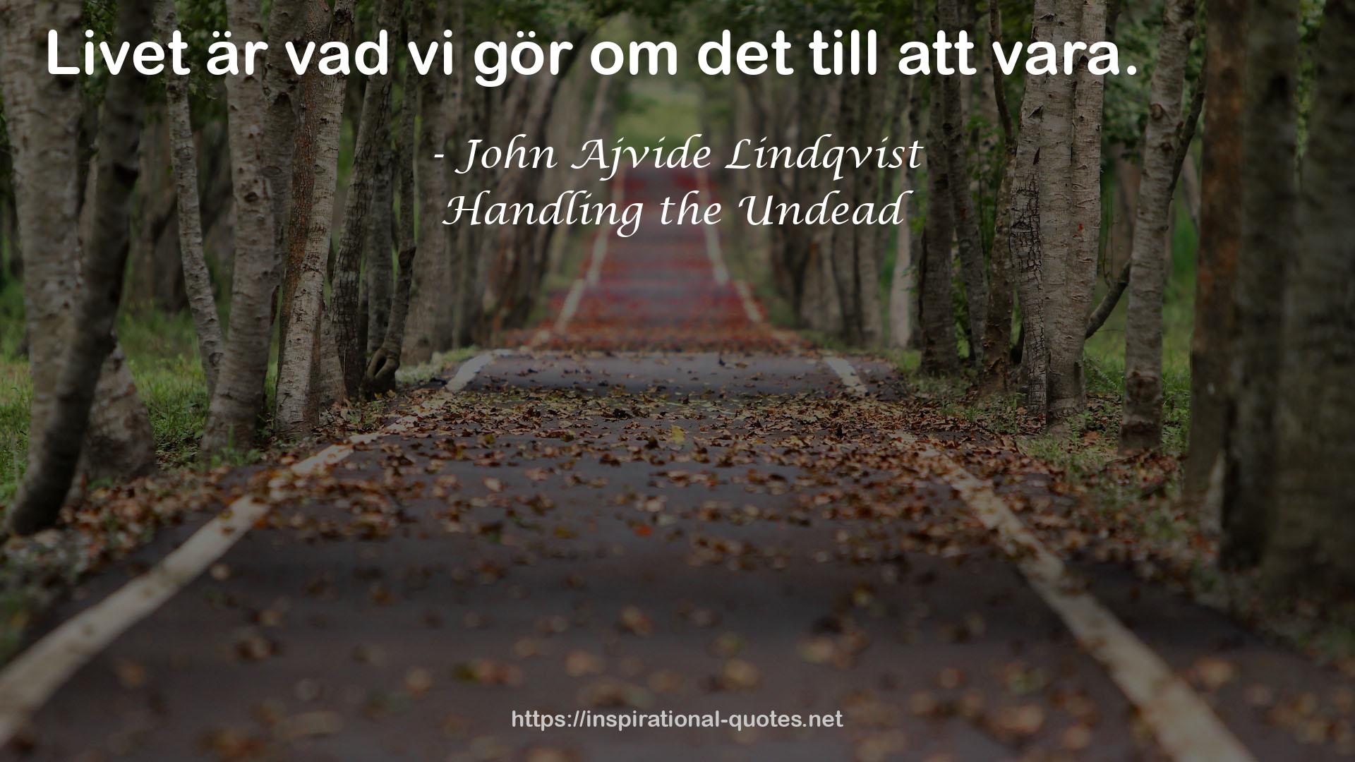 John Ajvide Lindqvist QUOTES