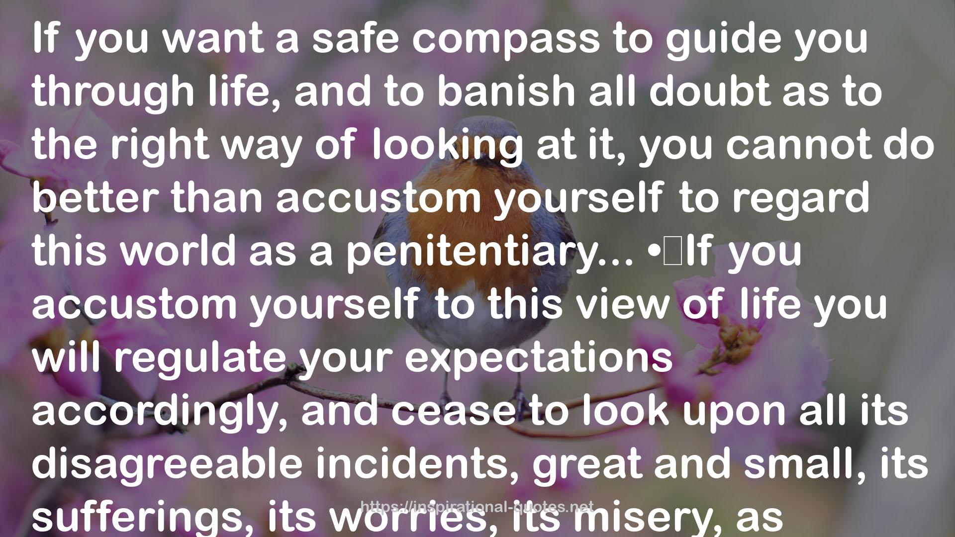 a safe compass  QUOTES