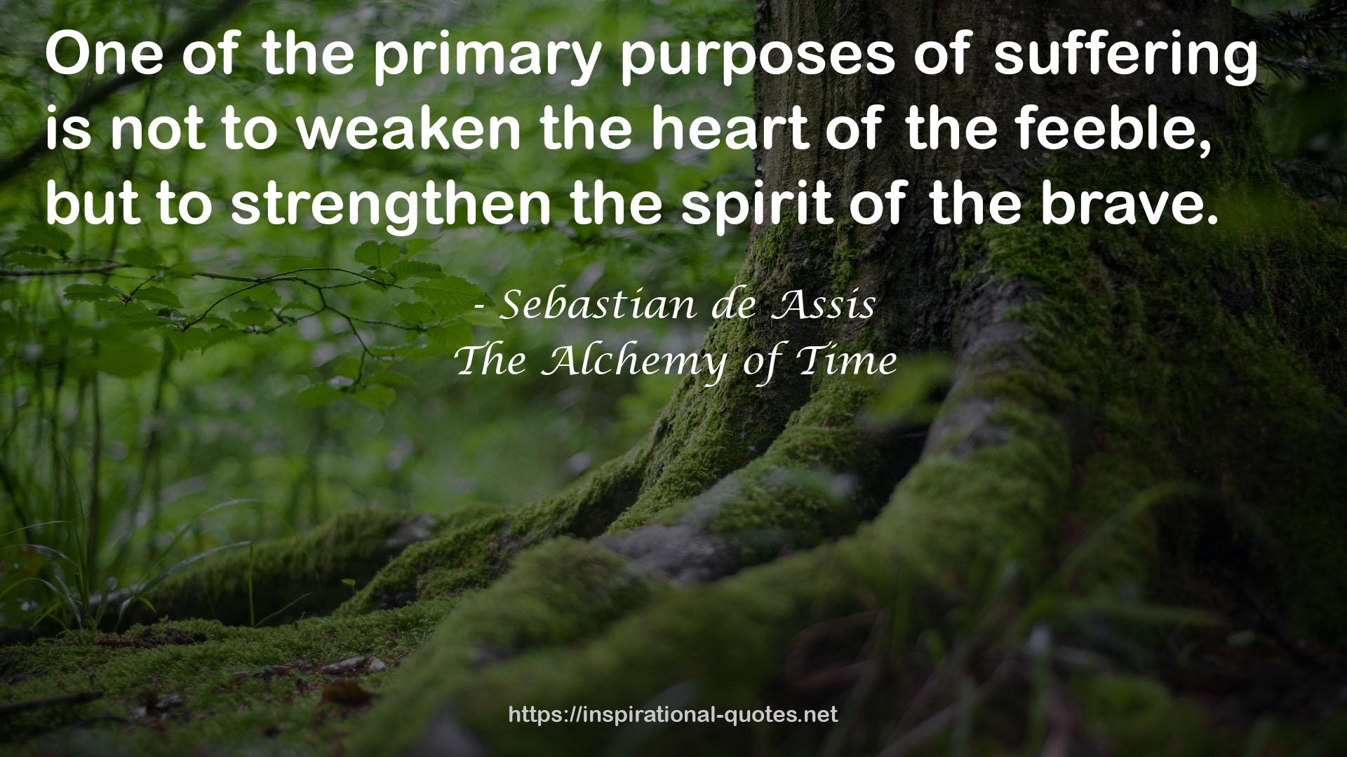 The Alchemy of Time QUOTES