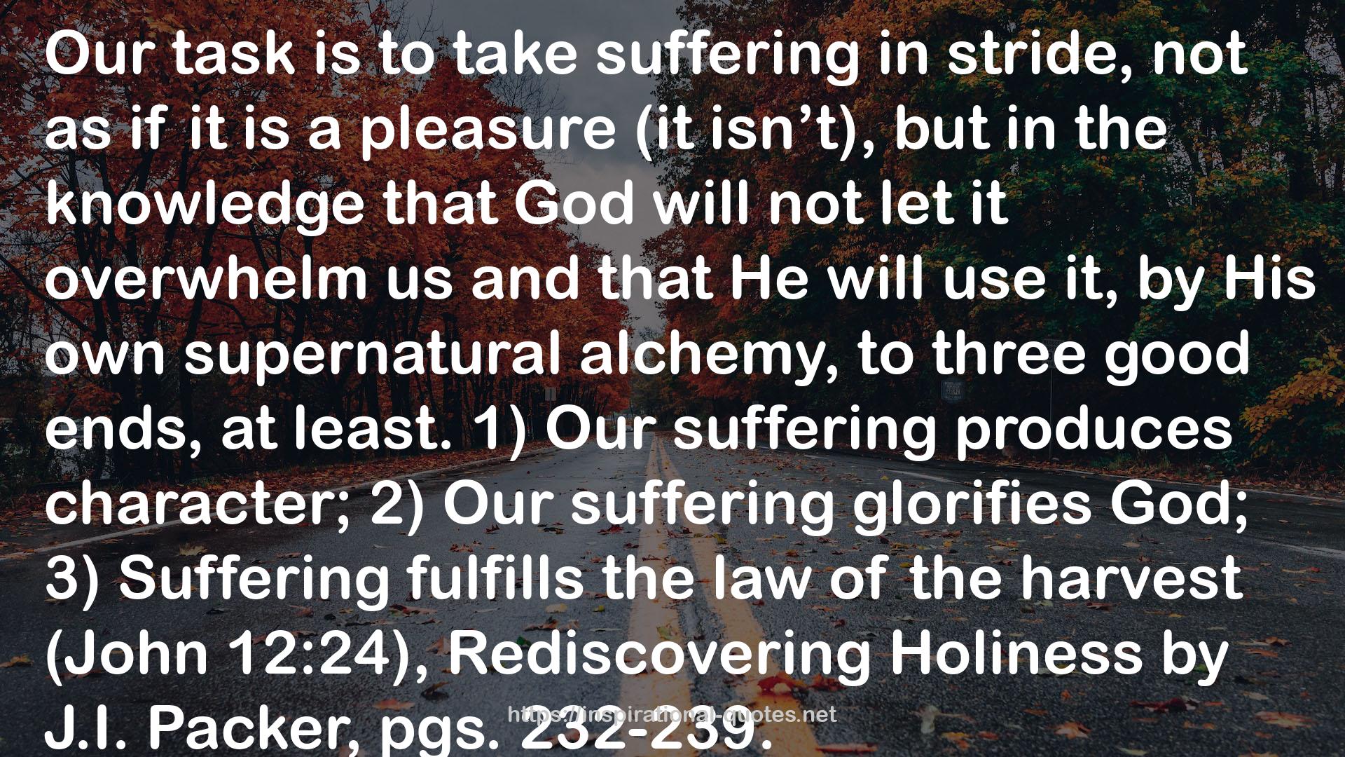 Rediscovering Holiness  QUOTES