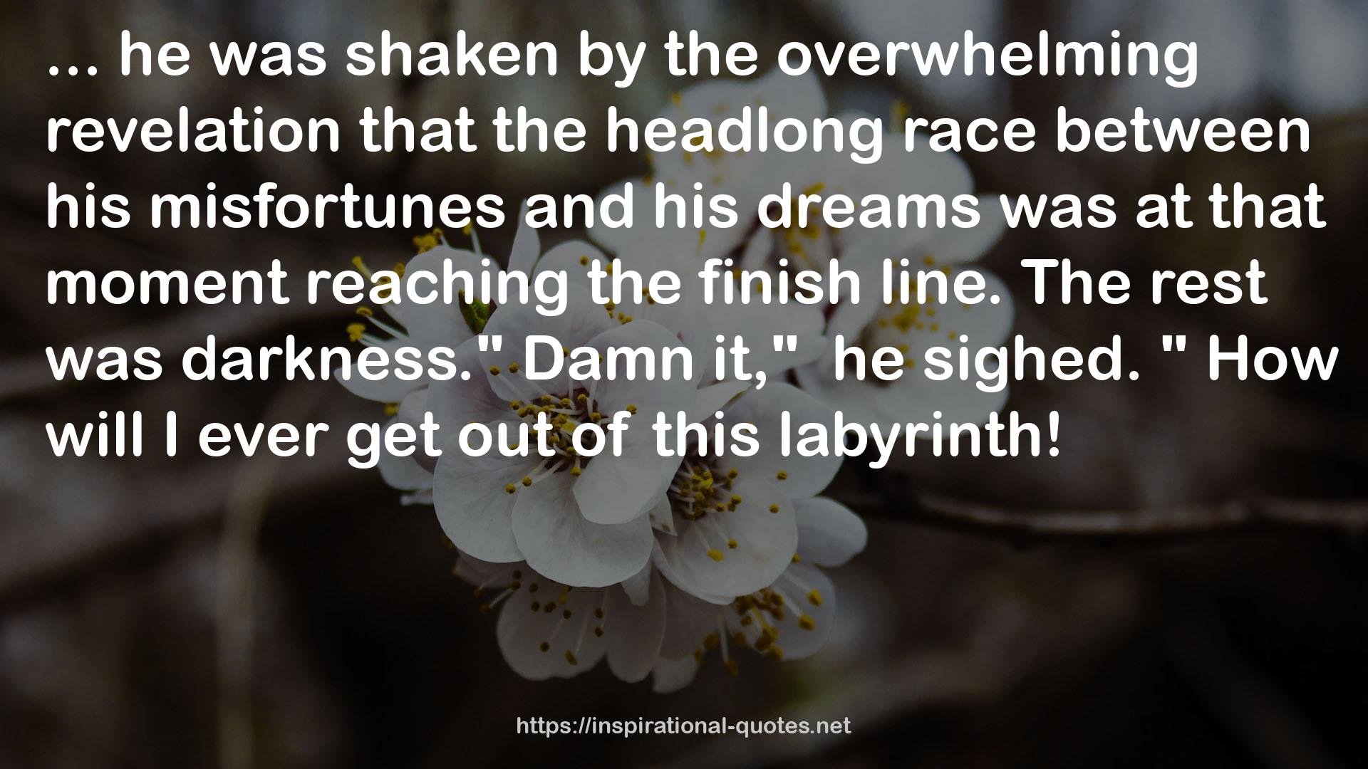 the headlong race  QUOTES